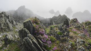 Canon Mist Fog Landscapes