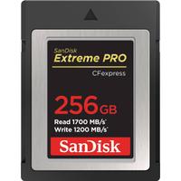 SanDisk 256GB CFexpress Type B card | was $399.99| now $139.99
Save $260 at B&amp;H